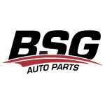  BSG